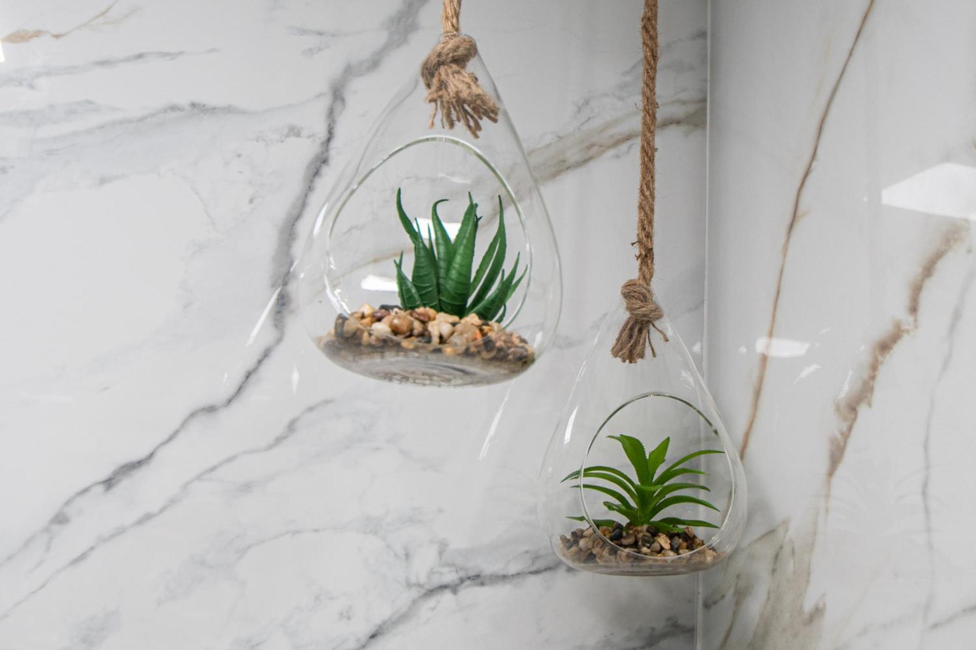 Apartamento Arco De Los Blanco Cádiz Exteriér fotografie